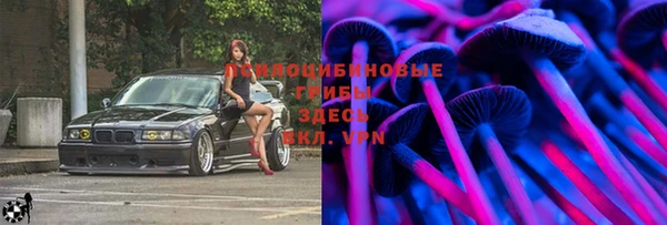 гашик Бердск